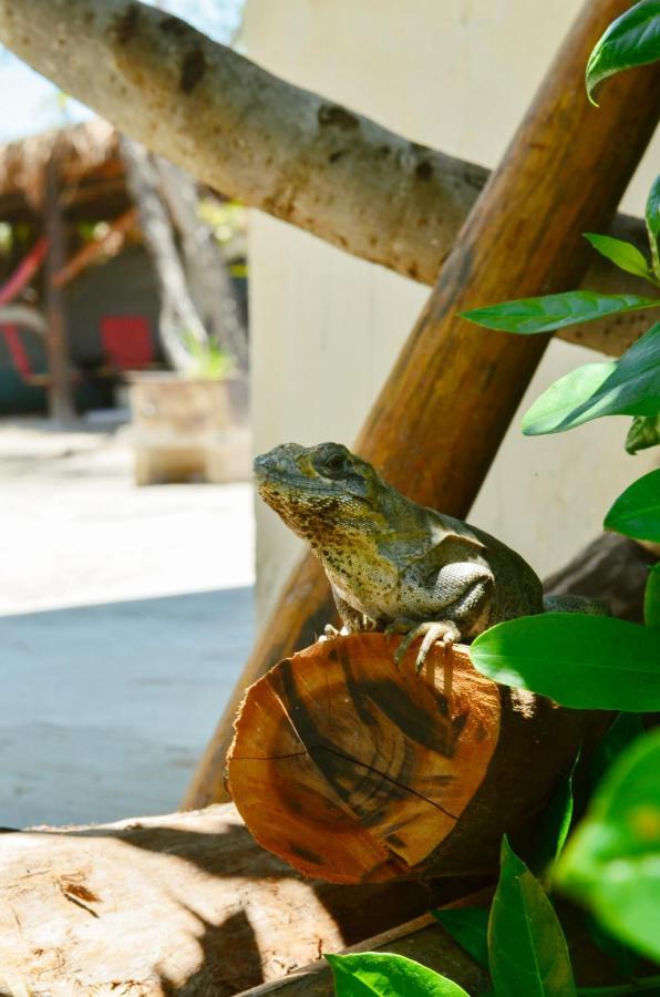 Skycamp Camping Holbox Esterno foto
